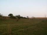 pict3096.jpg
