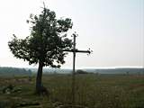 pict3147.jpg