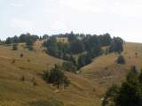 pict3417.jpg