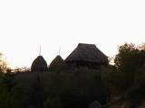 pict4407.jpg