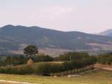 pict4492.jpg
