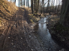 Potok 27. 12. 2020