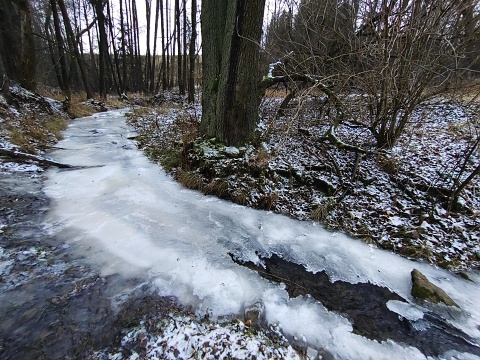 Potok 28. 12. 2021