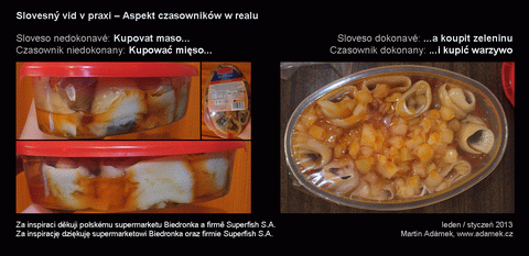 Slovesný vid v praxi - Dokonavost sloves v tržní realitě