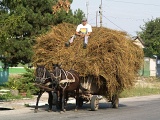 Rumunsko – zemědělská přeprava